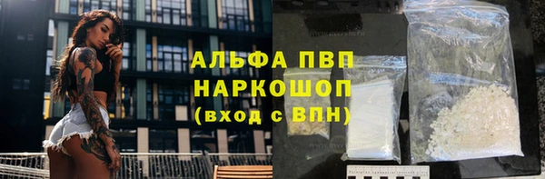 spice Богородск
