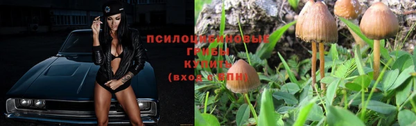 бутират Богородицк