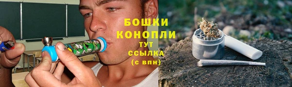 spice Богородск