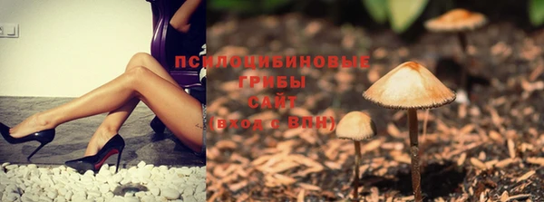 героин Богданович