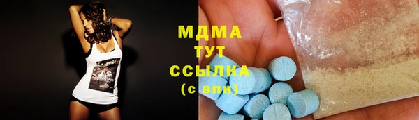 spice Богородск