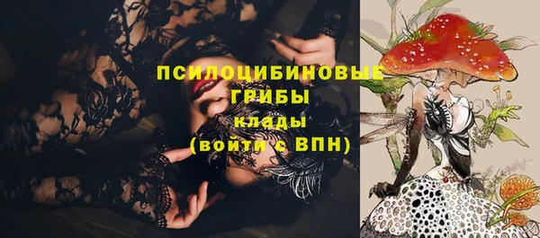 бутират Богородицк