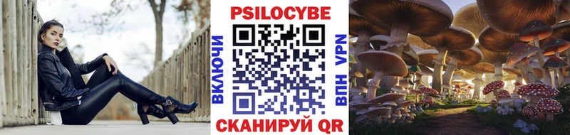 Псилоцибиновые грибы мицелий  Волосово 